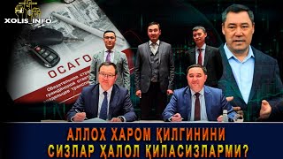 Мажбурий суғурта қилиш кўчар ва кўчмас мулкларни (XOLIS_INFO)