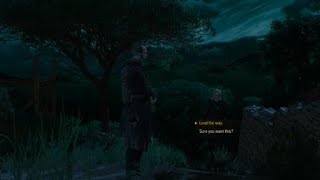 The Witcher 3: Wild Hunt – Game of the Year Edition_20200612224642