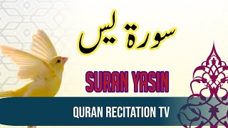 Surah yaseen Sharif (Yasin) Live 💚💛 | Live Sura Ya-Seen Full with Arabic text | سُورۃ یس