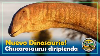 Chucarosaurus diripienda - Nuevo dinosaurio | Jurassictube