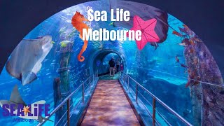 Sea Life Melbourne Aquarium4