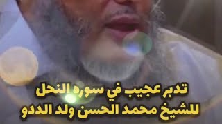 سبحان من ألهمه هذا الفهم العجيب حفظه الله | الشيخ محمد الحسن الددو الشنقيطي