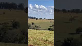 Fazenda à venda na Região de Avaré -SP