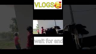 UPSC and SSC STUDENTS Vlogs on Youtube 🥰!SSC AND UPSC 😘!#ssccgl2024 #upsc #shorts #viral