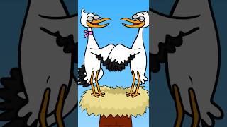 Even Storks Need to be Careful – Hooray Kids Songs #shorts #nurseryrhymes #kids #funnyvideo