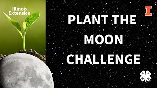 Plant the Moon Experiment Recap