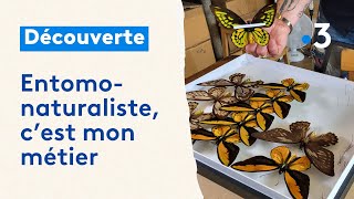 Entomo-naturaliste, c'est mon métier