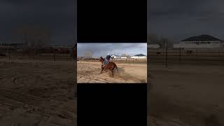 don't mind my slack pull...... #sheridanlostroh #lilfreckilbe #breakawayroping #rodeo #equine