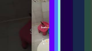 Washroom Cleaning || Snehnod services || Gwalior Madhya Pradesh   #bestcleaningservice