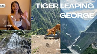 The Guide to TIGER LEAPING GEORGE 🇨🇳