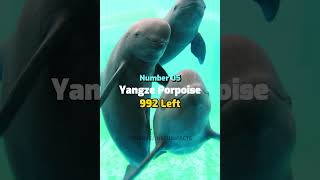 Top 10 Most Endangered Animals In The World 🔥🦇 Facts | #viral #shorts #justujufacts