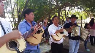 "Charanguito Y Somos Las Tijeras" Una Orquesta Interpreta Con Mucha Alegria En Una Ambrosia