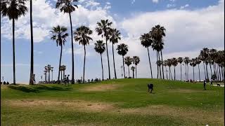 Venice Beach