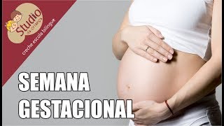 Semana gestacional - Studio da Criança