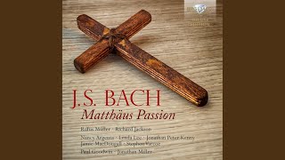 Matthäus Passion, BWV 244, Pt. 1, Prayer on the Mount of Olives: XXII. Recitative (Bass) II,...