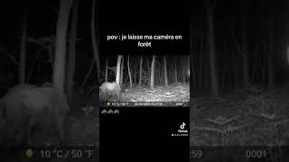 dites moi en commentaires si vous voulez plus de vidéos de caméra de chasse  #chasse #nature