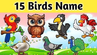 Birds Names | Birds name in English | Basic English Learning |பறவைகள் sivanya kuttis chuttis channel