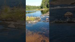 Seguin River Seguin Ontario #shorts #short