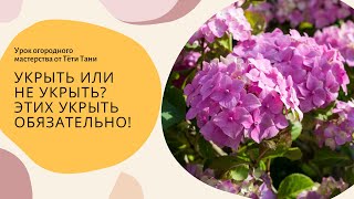 Укрыть или не укрыть? ЭТИХ укрыть обязательно...