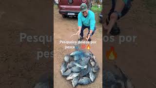 Chicão,20 kg pesqueiro doidos por pesca tilápias saindo com força, pescaria na diária #pesqueiro