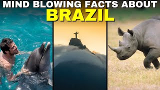 10 Unheard Mind Blowing Facts About Brazil