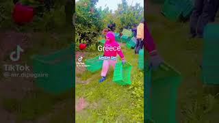 Agriculture Work in Greece 🇬🇷 #viralshort #trendingvideo