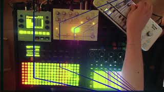 polyend play, minilogue xd, hologram microcosm, tt-303, circuit