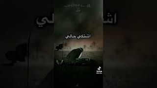 باسم  الكربلائي عباس يعيوني😭😭💔