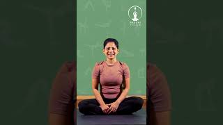 Class 3: Basic Yoga for Beginner 2024 #Yogicjourney