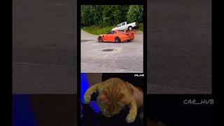 Cat Driving Supra😂😮‍💨 #haveagoodtime #edit #car