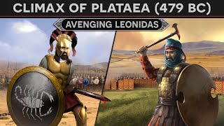 Climax of the Battle of Plataea (479 BC)⚔️Spartans vs Immortals DOCUMENTARY