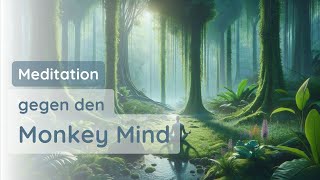 Meditation gegen den Monkey Mind