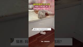 猫妈妈想带宝宝上炕，九条命，上个炕只剩一条了