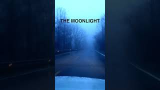 The Moonlight - Out October 25