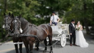 Teledysk Ślubny Joanny i Tomasza 17.08.2019