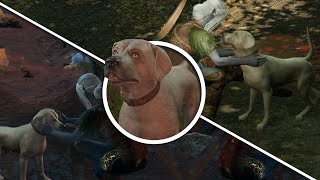 Baldur's Gate 3  |  Chatting with a Dog