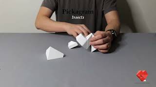 PICKAGRAM INSECT