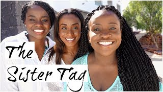 Vlog | itsmedammy | SISTER TAG