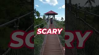 SO SCARY HANGING BRIDGE