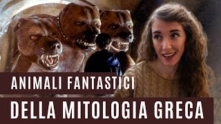 Tre animali fantastici di Harry Potter nel mitologia greca: Cerbero, i Centauri e la Sfinge