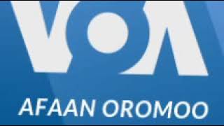 Oduu VOA Afaan Oromo Galgala Robii 2 2022