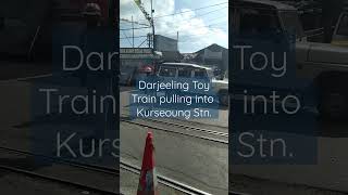 Darjeeling Toy Train arriving into Kurseoung Station #shorts #dhr #toytrain #kurseoung