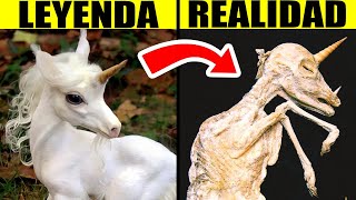 Criaturas Míticas Que Existieron En La Vida Real