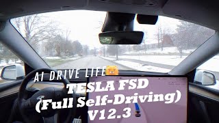 TESLA | V12.3 FSD(Full Self-Driving) | Going to work on a snowy day