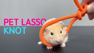 How to Make an Emergency Pet Noose Knot｜Pet Lasso