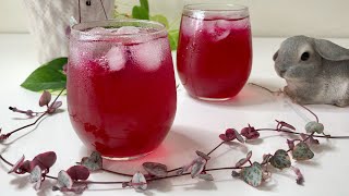 紫蘇ジュースの作り方[色と香りに癒されます❤️] Fantastic Aroma !! How to make Pink Shiso Juice