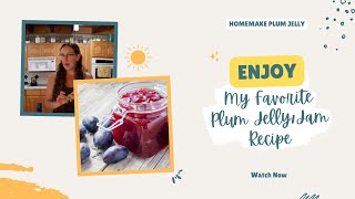 My Favorite Plum Jelly Plum Jam Recipe