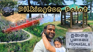 Pilkington Point - Poonagala🇱🇰⛰ | කඳුකර කුරු අලින්ගේ නවාතැන 🐘|   #vlog28