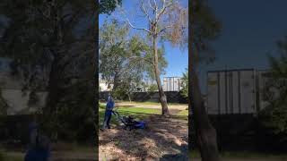 Stump Grinding Time Lapse