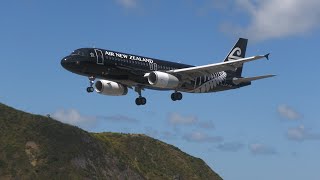 10000 subscribers - Wellington Airport Sunday afternoon Double All Black stream